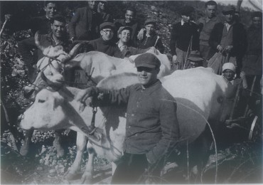 Palestina in Toscana 4