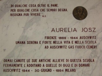 Aurelia targa