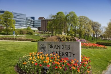 Brandeis