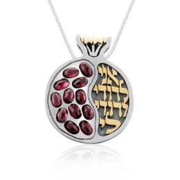 silver-and-gold-pomegranate-necklace---beloved-ra-62e_large
