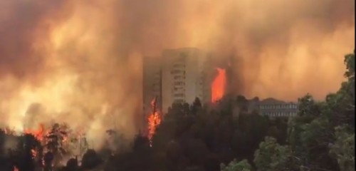 Un quartiere di Haifa colpito dall'incendio