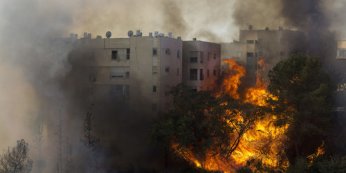 Haifa, Israele, 24 novembre 2016 (AP Photo/Ariel Schalit)