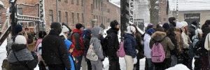 auschwitz_visita