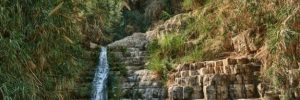 ein-gedi-israele