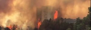 haifa-incendio