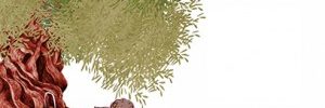 albero_memoria