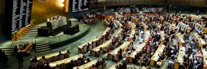 L'assemblea Onu