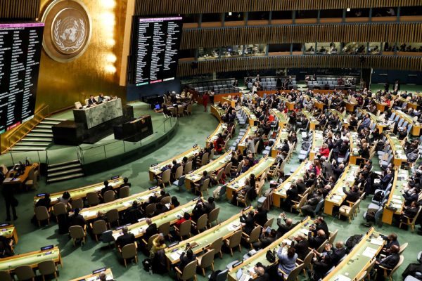 L'assemblea Onu