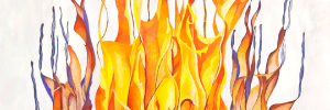 Fuoco