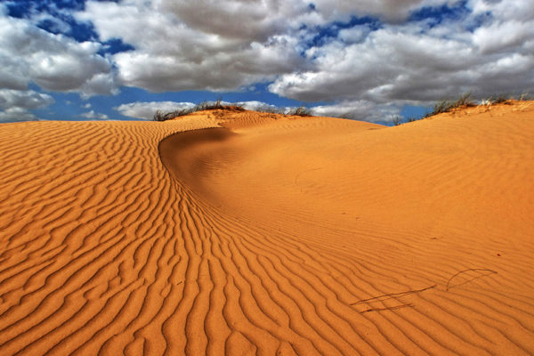 Il deserto, protagonista della Parashat Bamdibar