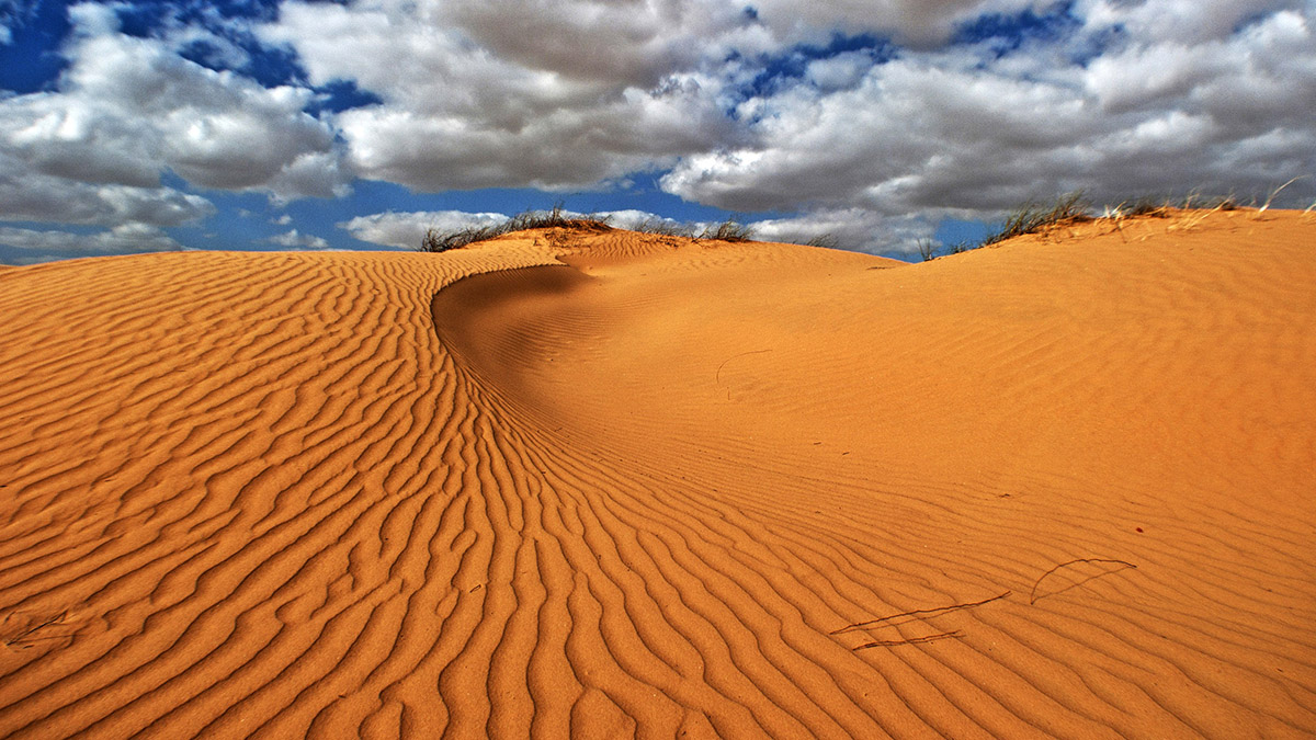 Il deserto, protagonista della Parashat Bamdibar