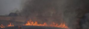 Pompieri israeliani spengono incendi vicino a Nahal Oz causati da aquiloni e palloncini incendiari