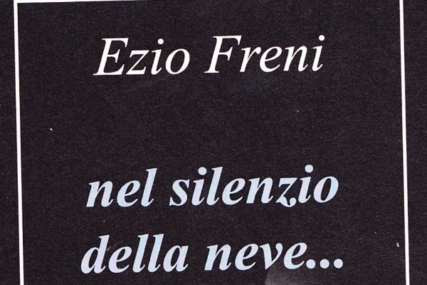 La copertina del libro 'Nel silenzio della neve'