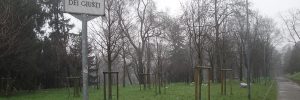 Il Giardino dei Giusti a Milano