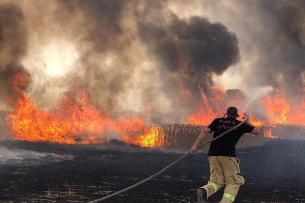 I pompieri lottano con gli incendi in Israele
