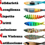 sardine