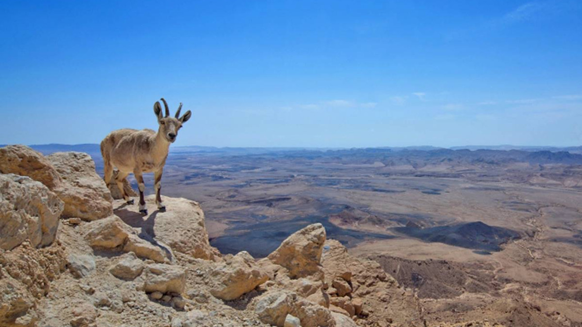 Nahal hashoalim nel Negev, per cui è stato lanciato un bando di costruzione di due complessi turistici