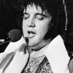 web-elvis-rex