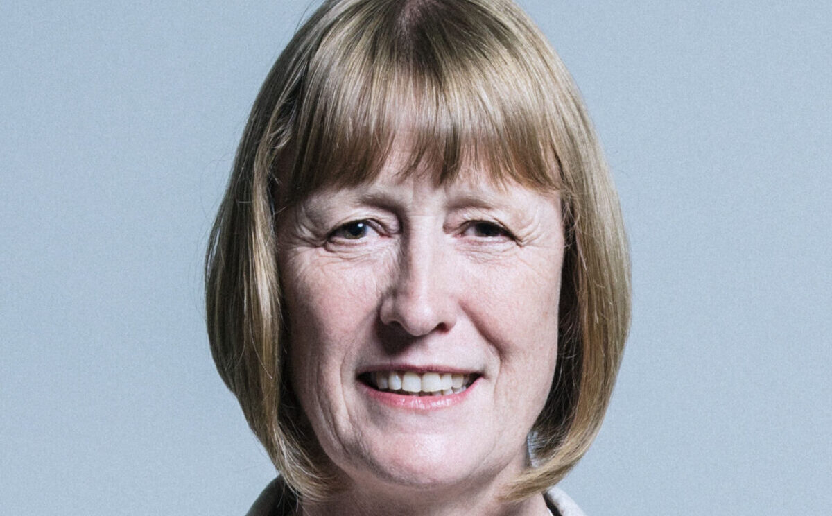 Joan Ryan, ex Labour, nominata ceo ELNET