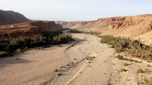 Tamanart in marocco