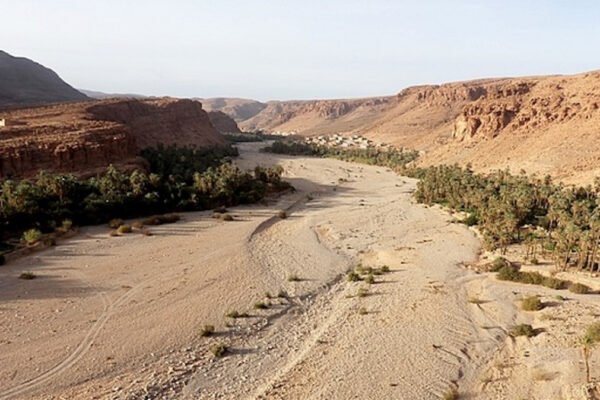 Tamanart in marocco