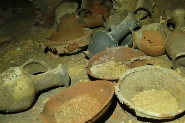 I vasi di bronzo ritrovati (foto Emil Aladjem)