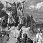 parashat-shelach-lecha