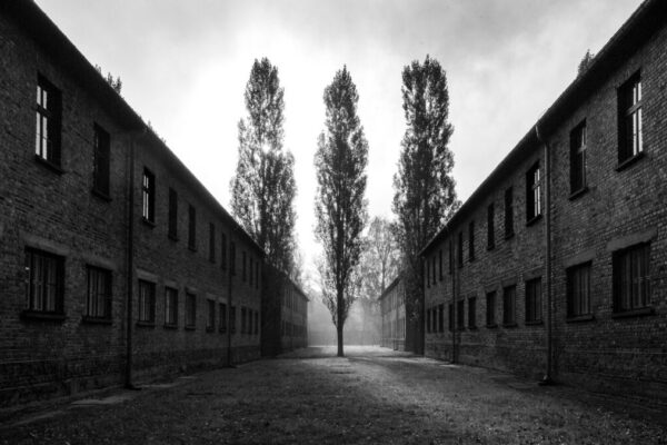 Una fotografia della mostra Tehom di Renée Revah