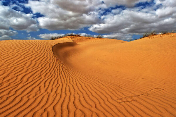 Deserto