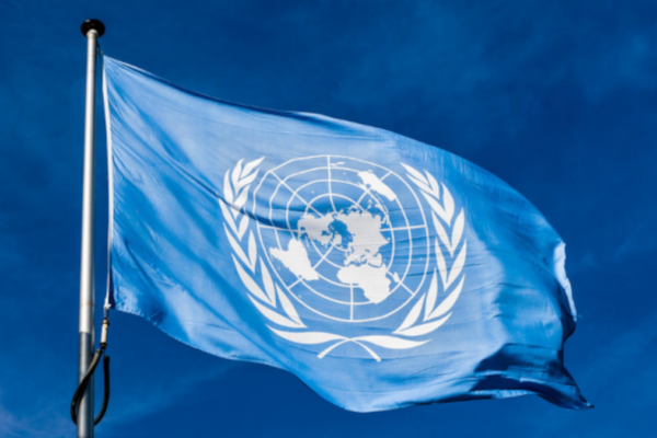 Bandiera dell'Onu
