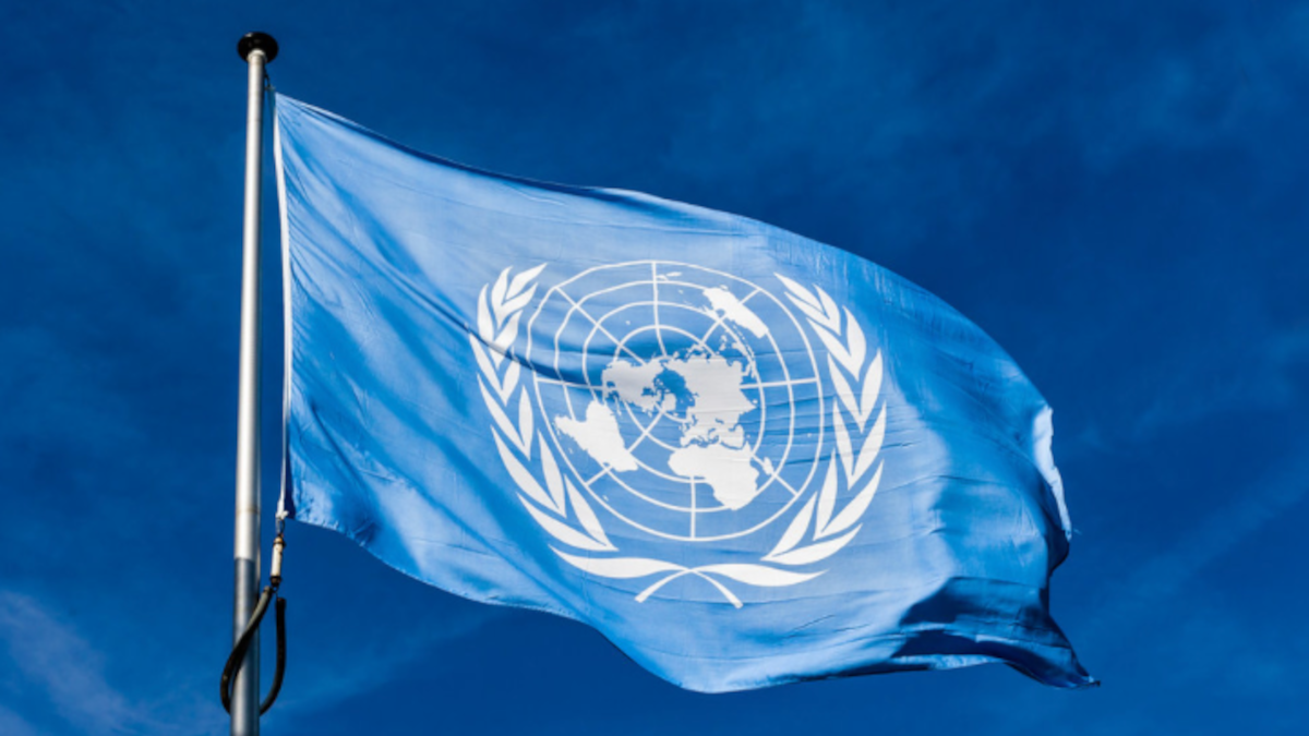 Bandiera dell'Onu