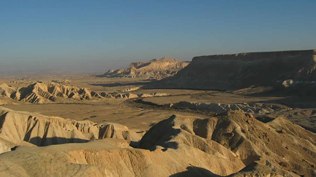 Deserto del Negev